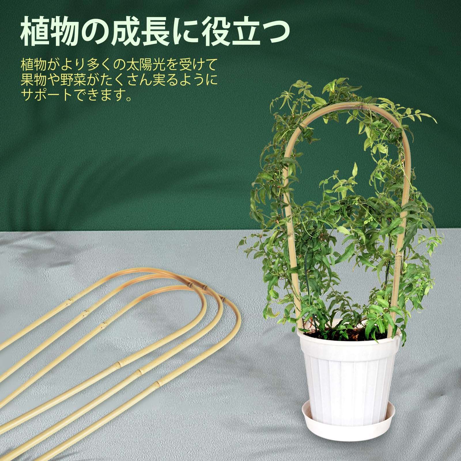 Amazon | Jollybower 園芸支柱トンネル 90cm 天然竹 植物支柱アーチ